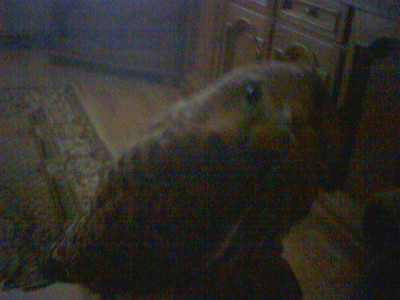 PIC000122.jpg