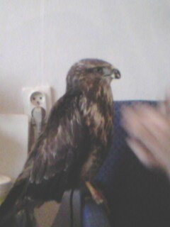 IMG00406.jpg