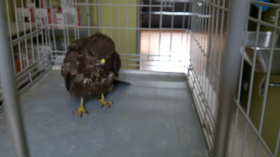 20130227806.jpg