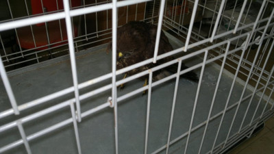 20130227805.jpg