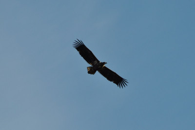 DSC_0328.JPG