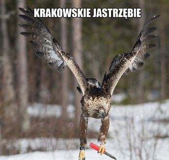 myszak...png