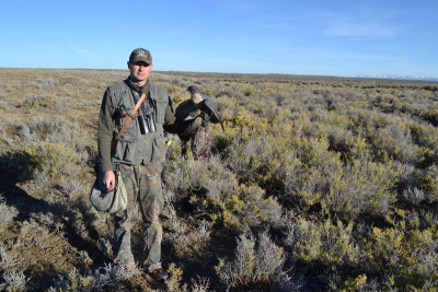 Falconry-Sage Grouse (18) (Kopiowanie).JPG