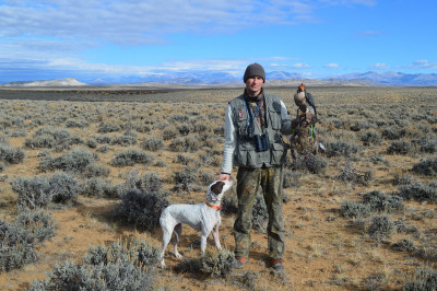 Falconry-Sage Grouse (11) (Kopiowanie).JPG