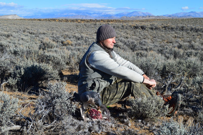 Falconry-Sage Grouse (10) (Kopiowanie).JPG