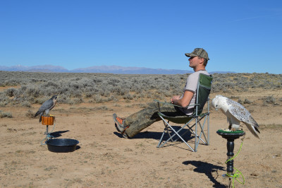 Falconry-Sage Grouse (7) (Kopiowanie).JPG