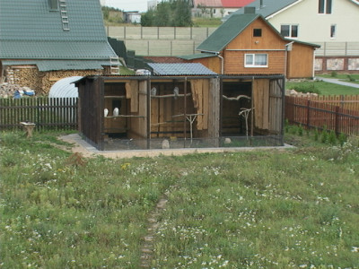 DSC00396.JPG