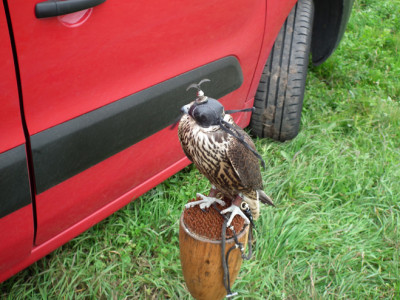 DSCF2054.JPG