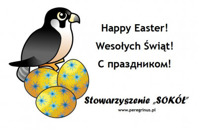 happy_easter_2011_sokol.jpg