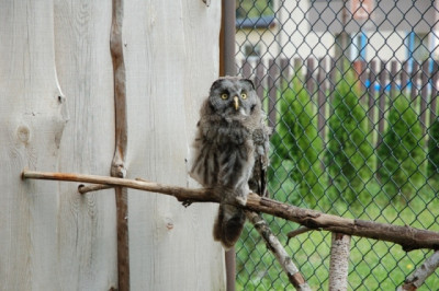 DSC_3312.JPG