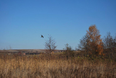 szachin 047.jpg